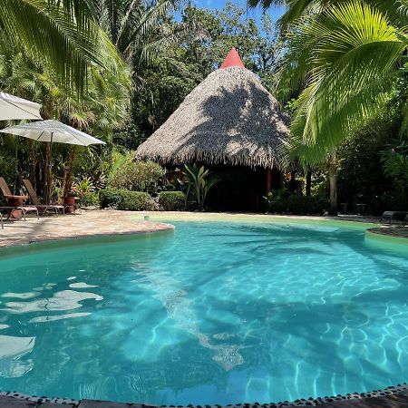 Hotel El Pequeno Gecko Verde Sámara 외부 사진