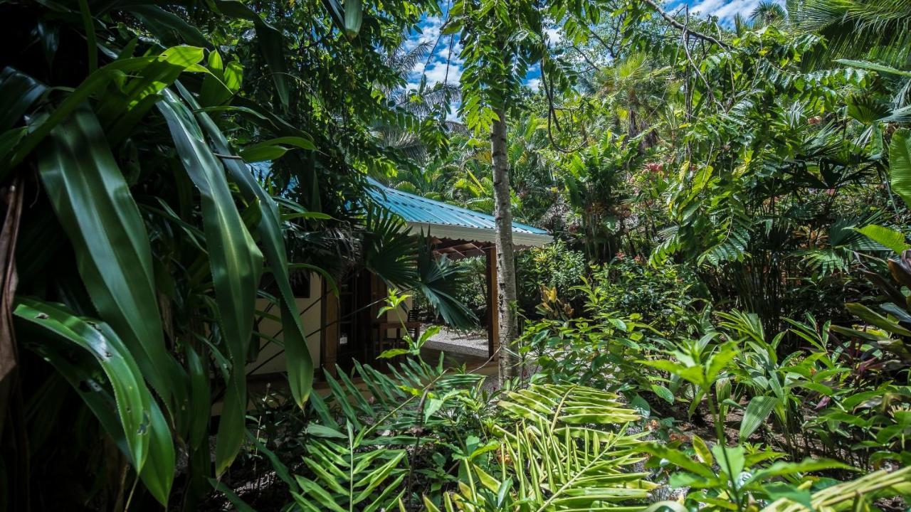 Hotel El Pequeno Gecko Verde Sámara 외부 사진