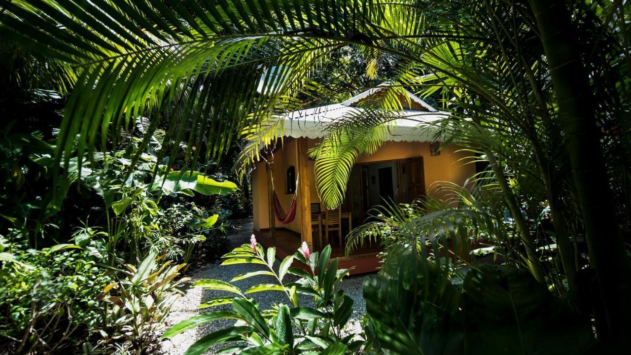 Hotel El Pequeno Gecko Verde Sámara 외부 사진