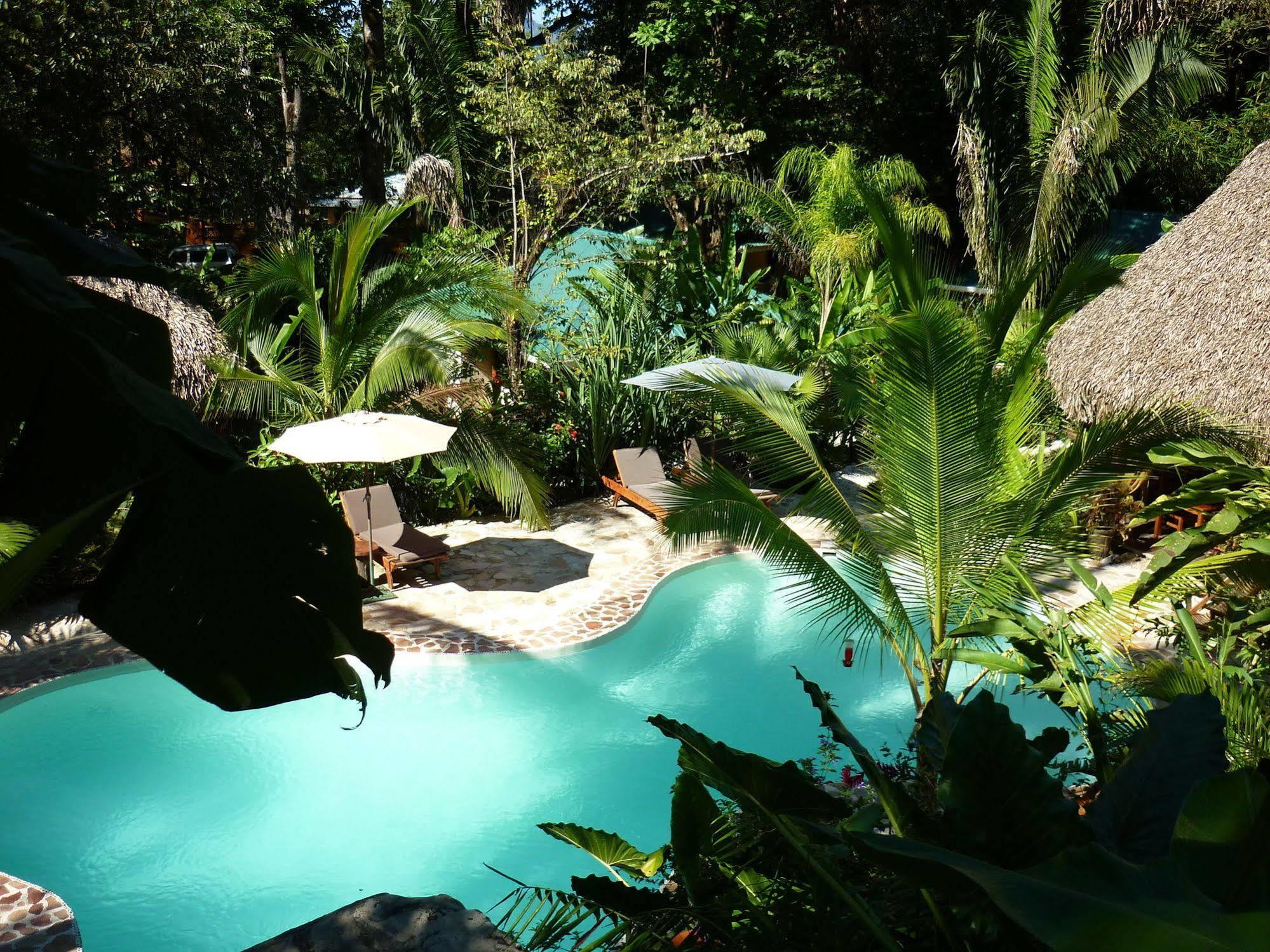 Hotel El Pequeno Gecko Verde Sámara 외부 사진