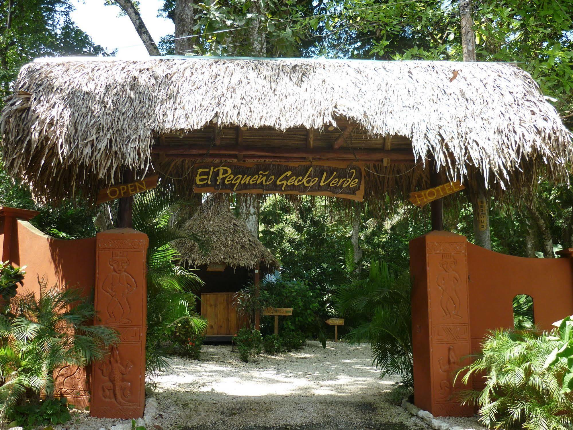 Hotel El Pequeno Gecko Verde Sámara 외부 사진