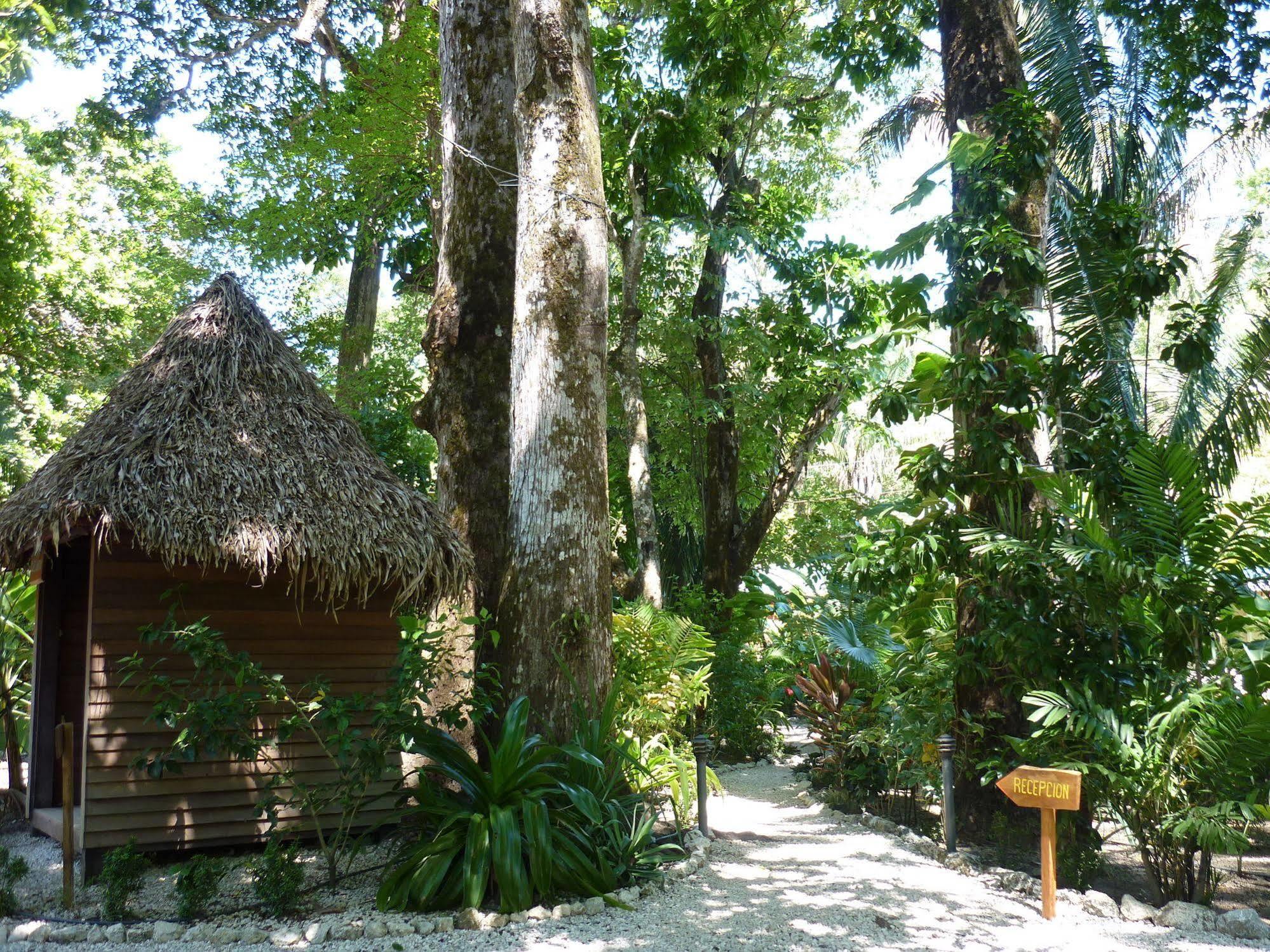 Hotel El Pequeno Gecko Verde Sámara 외부 사진