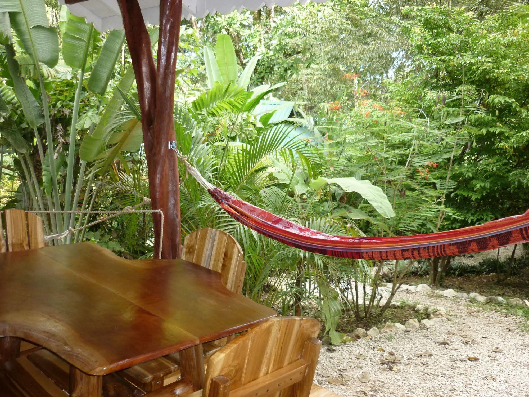 Hotel El Pequeno Gecko Verde Sámara 외부 사진