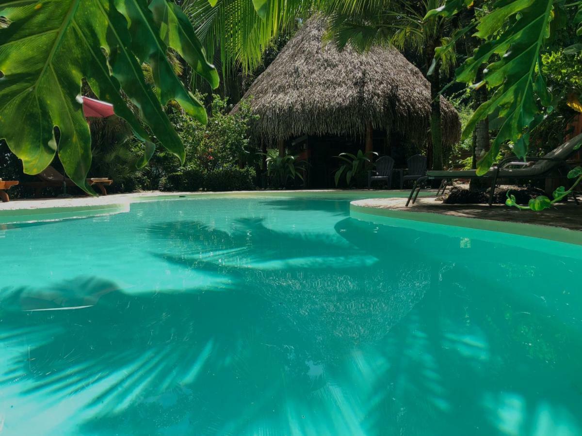 Hotel El Pequeno Gecko Verde Sámara 외부 사진
